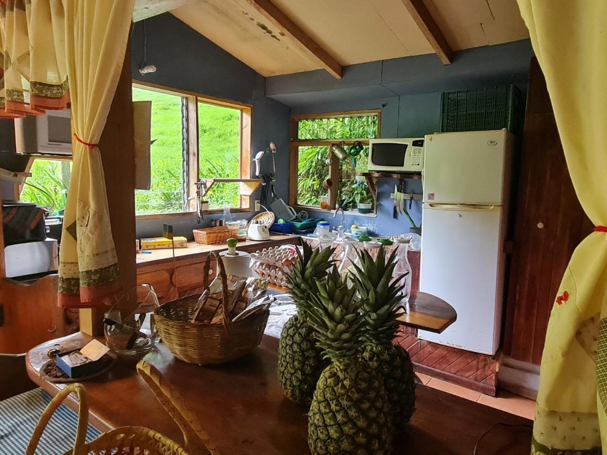 Finca Terra Viva Monteverde Zewnętrze zdjęcie