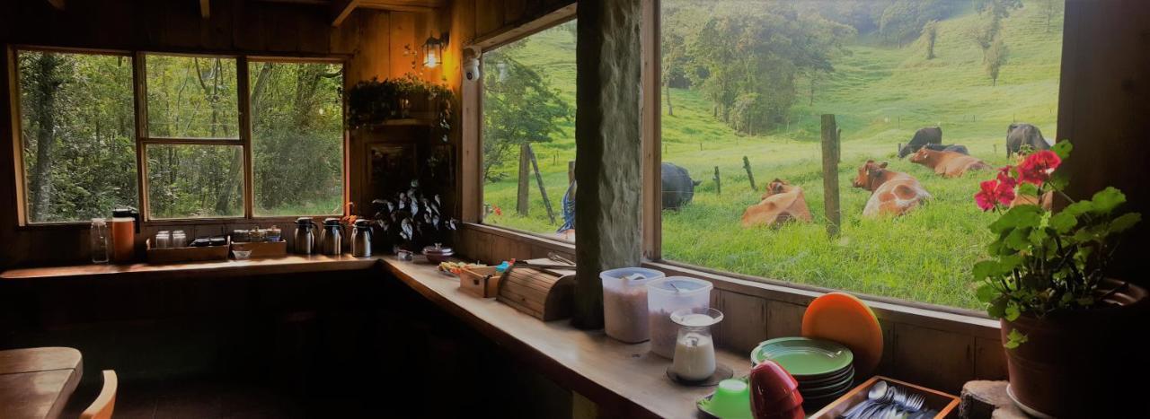 Finca Terra Viva Monteverde Zewnętrze zdjęcie