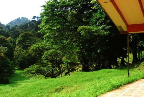 Finca Terra Viva Monteverde Zewnętrze zdjęcie
